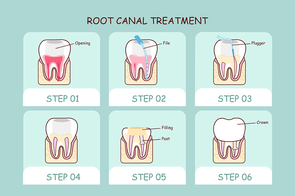 Dentist at Elgin TX